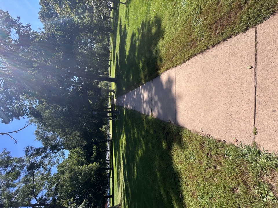 The path across Guilford Green, under the trees that ring it.
