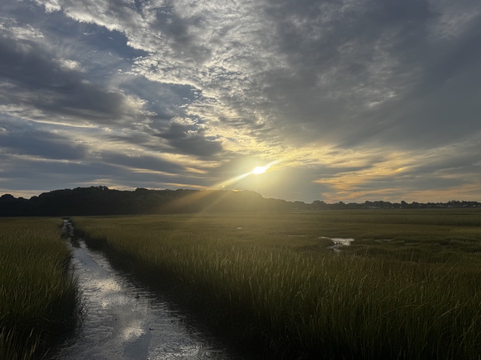 The salt marsh from Pent Road, looking across toward Hammonasset at sunset.